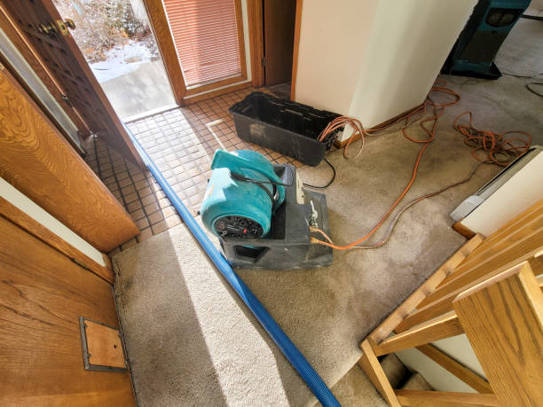 Best Flooded house restoration  in Lake Katrine, NY