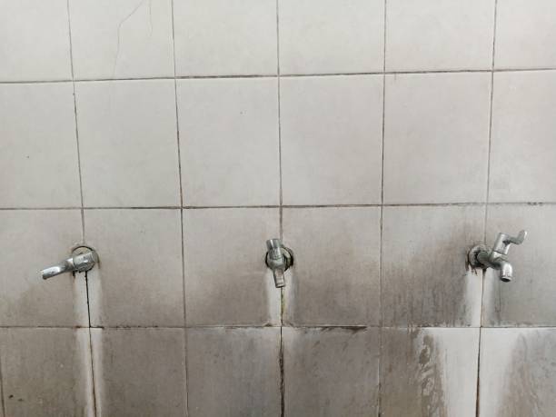 Best 24-hour water damage restoration  in Lake Katrine, NY