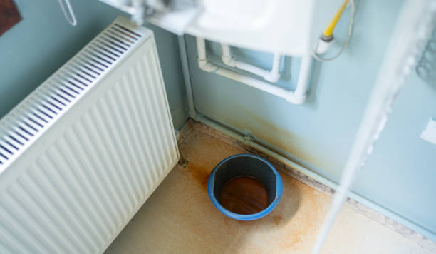 Best Mold removal after water damage  in Lake Katrine, NY