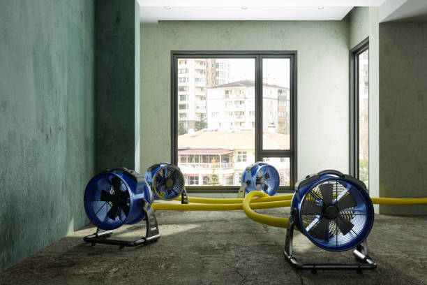 Best Sewage cleanup and water damage restoration  in Lake Katrine, NY